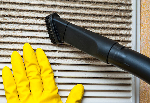 Best Dryer Vent Cleaning Services  in Finneytown, OH